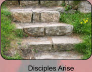 Disciples Arise